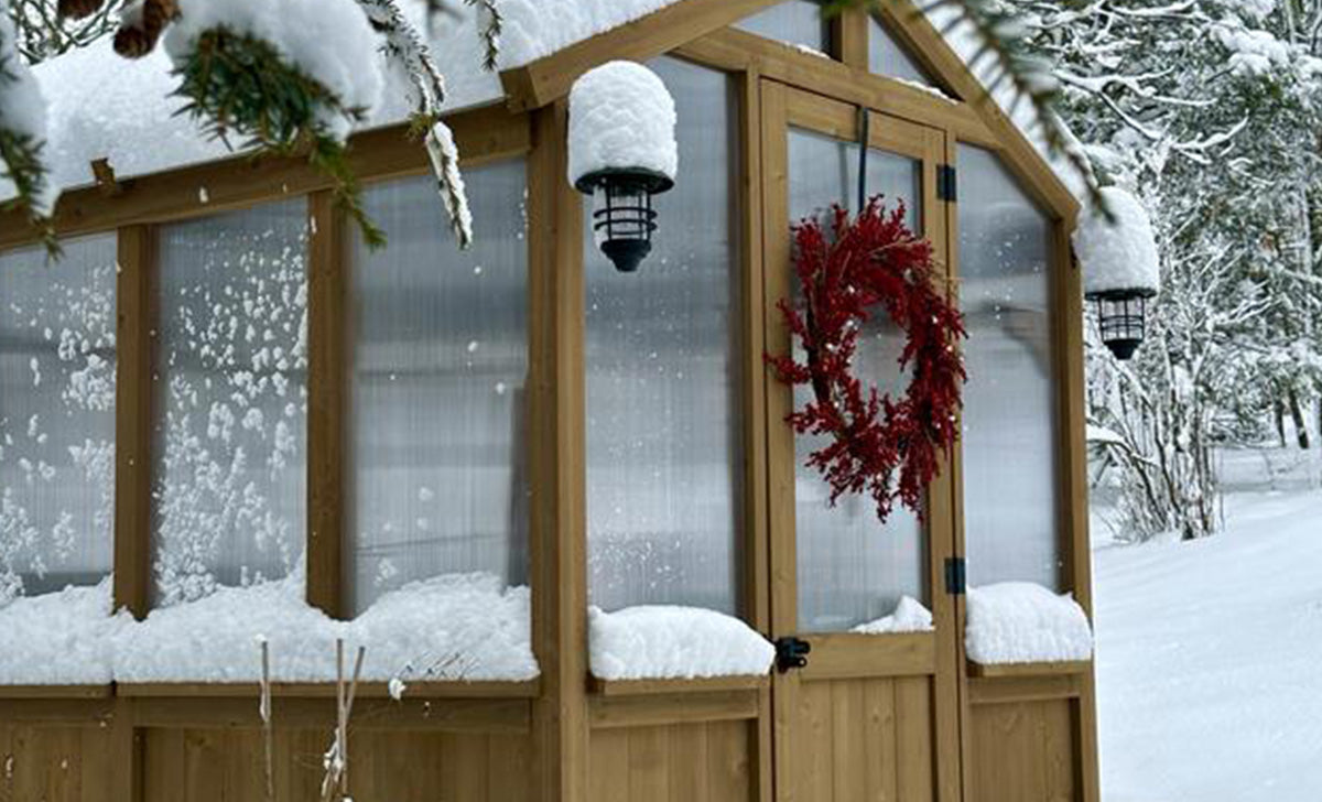 How to Use Your Greenhouse In The Winter