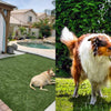 10 Tips On How to Build A Perfect Yard For Your Dogs