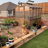 Setting Up a Greenhouse: How to Plan Your Growing Space
