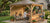 Gazebo Accessories