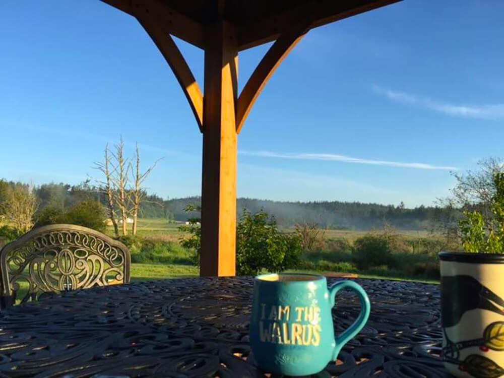 It’s the second day of sipping morning coffee  in our new gazebo