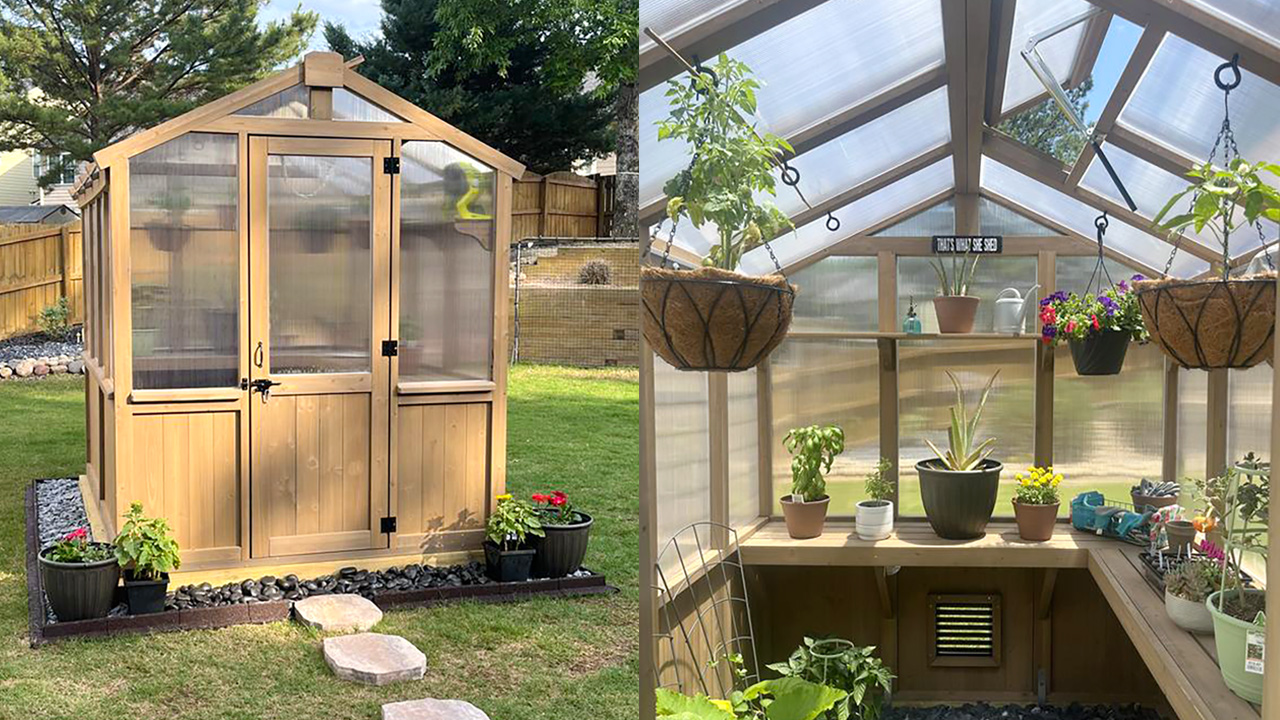 Solid Greenhouse