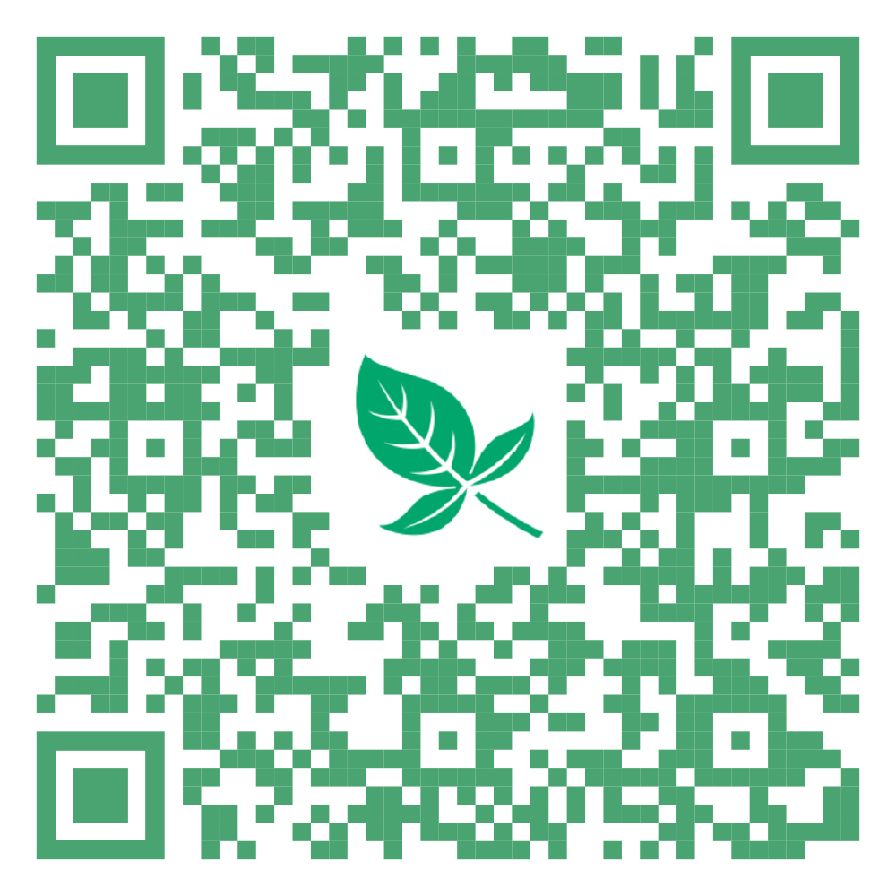 Handy Home Cassidy 6 x 3 Cedar Shed's QR Code